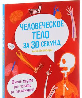 Человеческое тело за 30 секунд